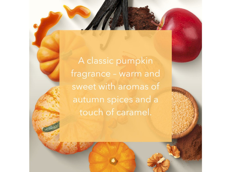 41384-perfect pumpkin - v